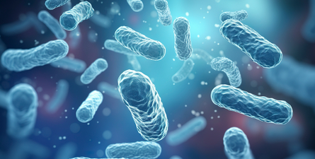 Antimicrobial resistance